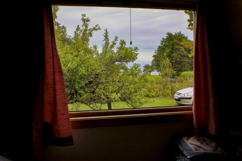 Window Pane Replacement